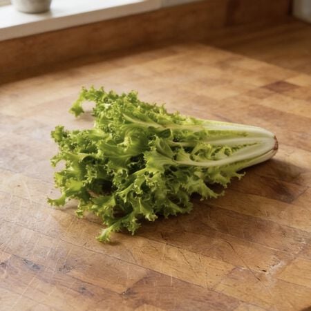 Salad King Endive, Chicory - Packet image number null
